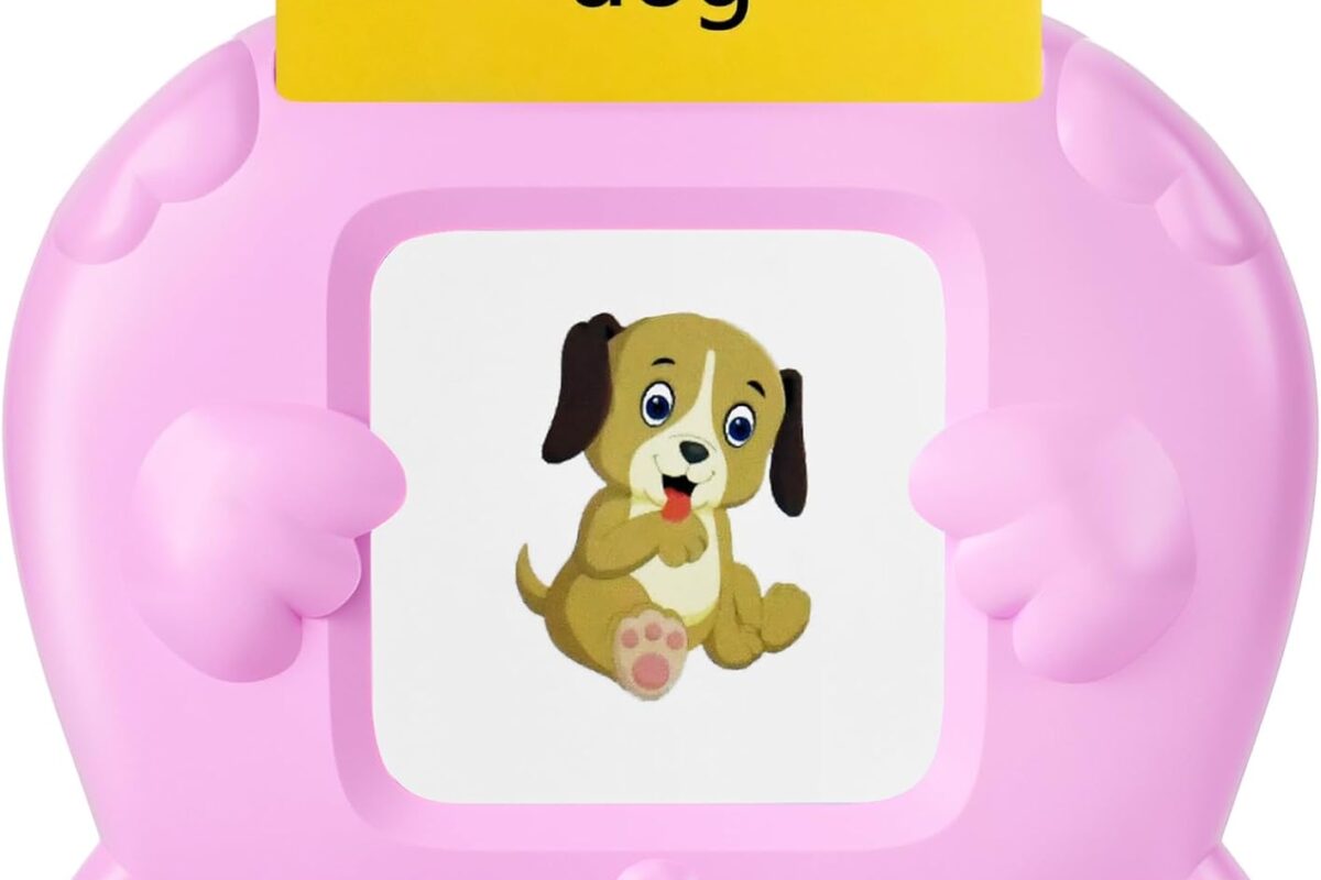 Talking Flash Cards 224 Sight Words Flash Cards